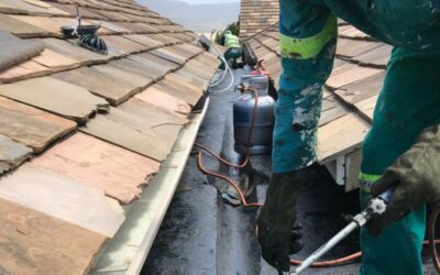 Waterproofing: Why It Is Important, And When Should You Do It – MSK Construction